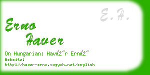 erno haver business card